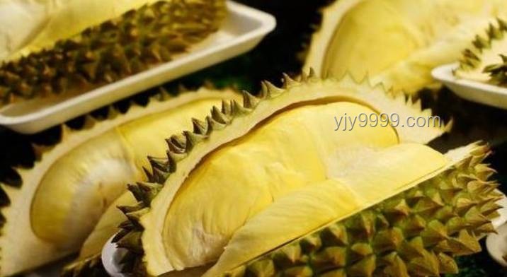 游客在新加坡酒店食用榴莲遭重罚的案例研究